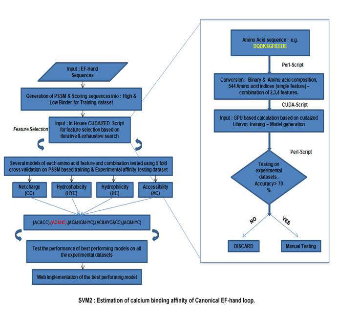 figure2B