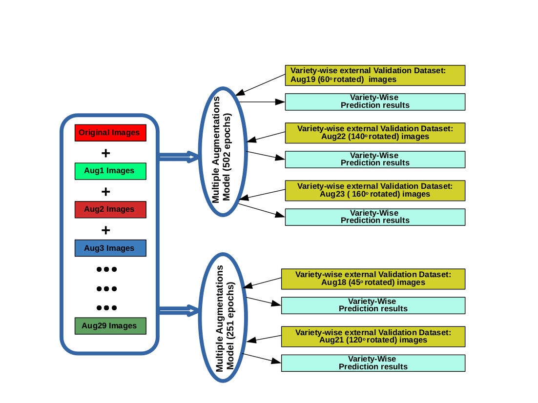 Figure: Overview of paddy seeds variety prediction using iRSVPred web server.